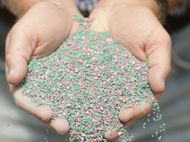 Seed Coating