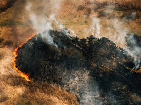 pasture fire from drone