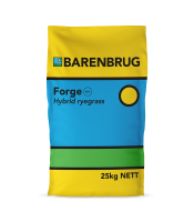 Forge