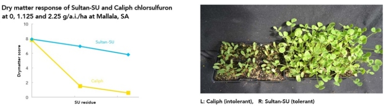 Error