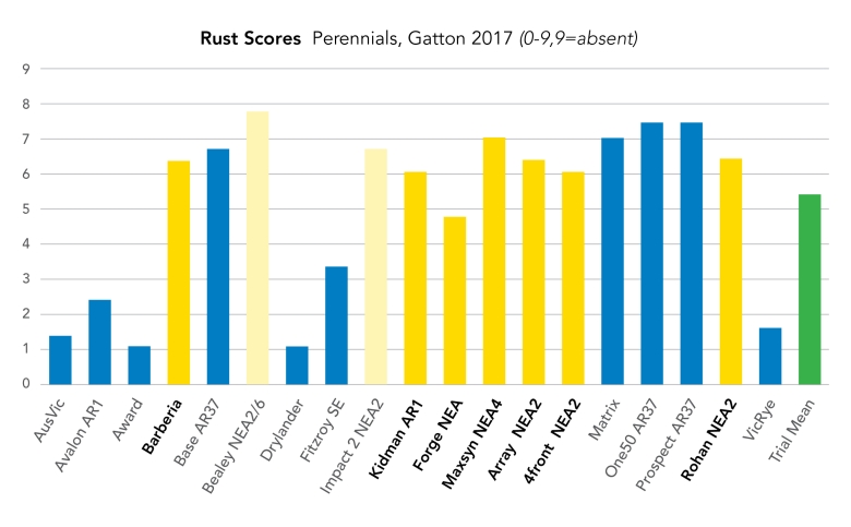 rust on ryegrass scores - Perennials