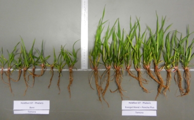 untreated_vs_treated