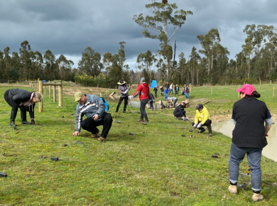 Landcare