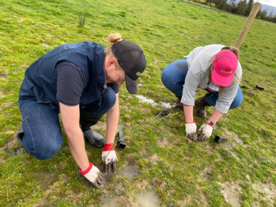 Landcare