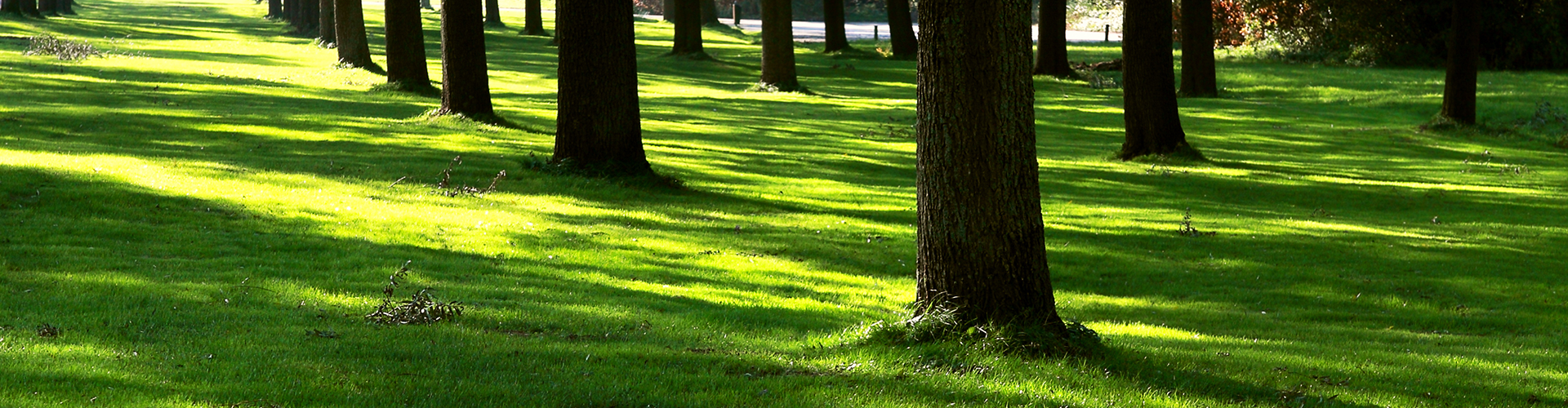 turf shade