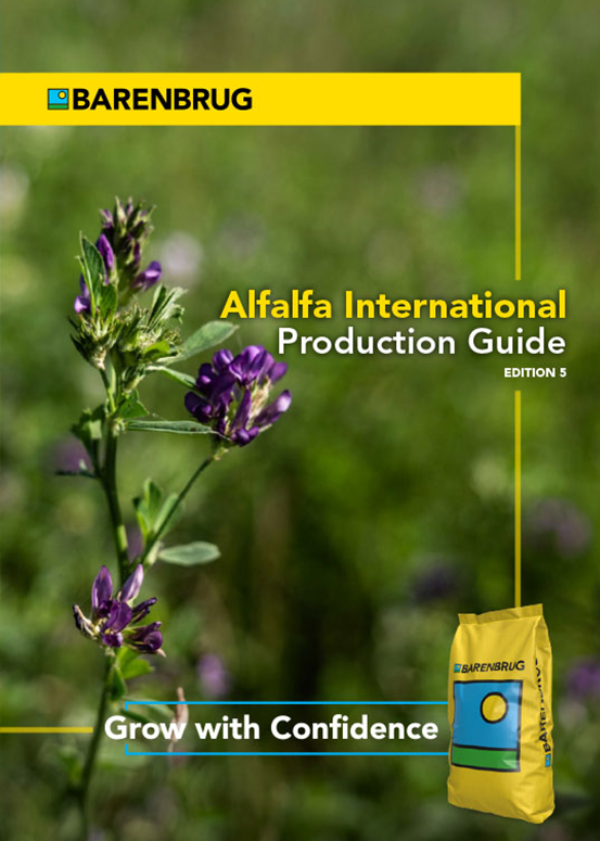 Alfalfa Cover-Ed5