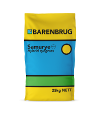 Samurye bag
