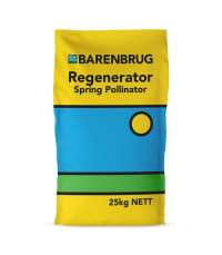 Regenerator Spring